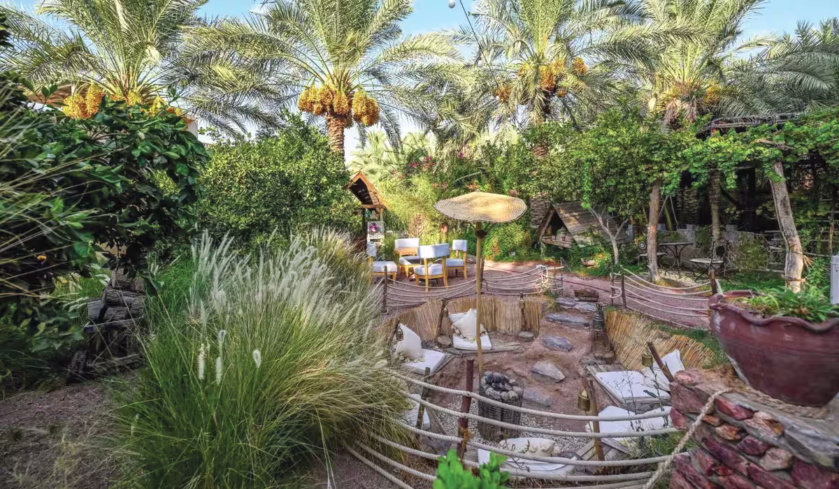 مرتفعات منطقة حائل الجبلية الوعرة